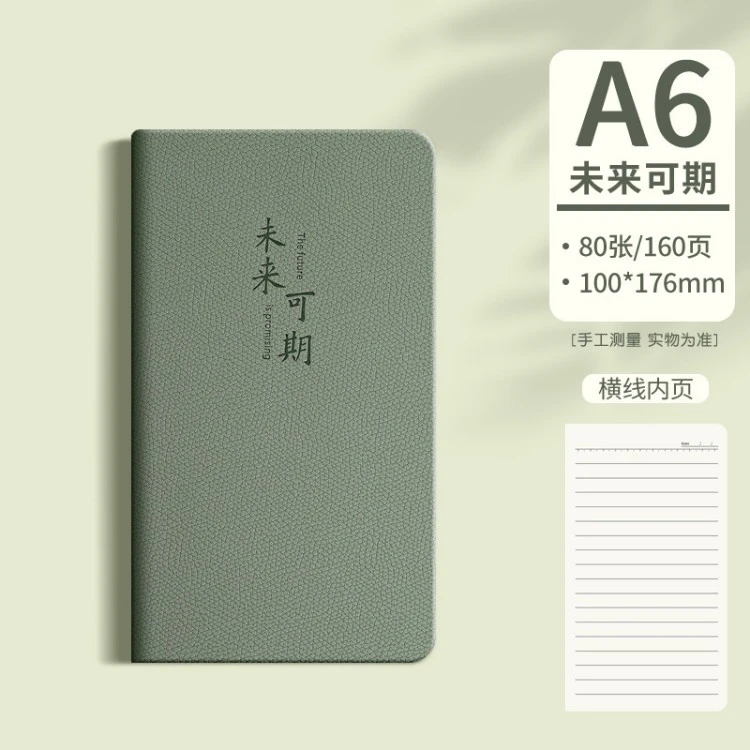 Daily Planner Notebooks color option 7